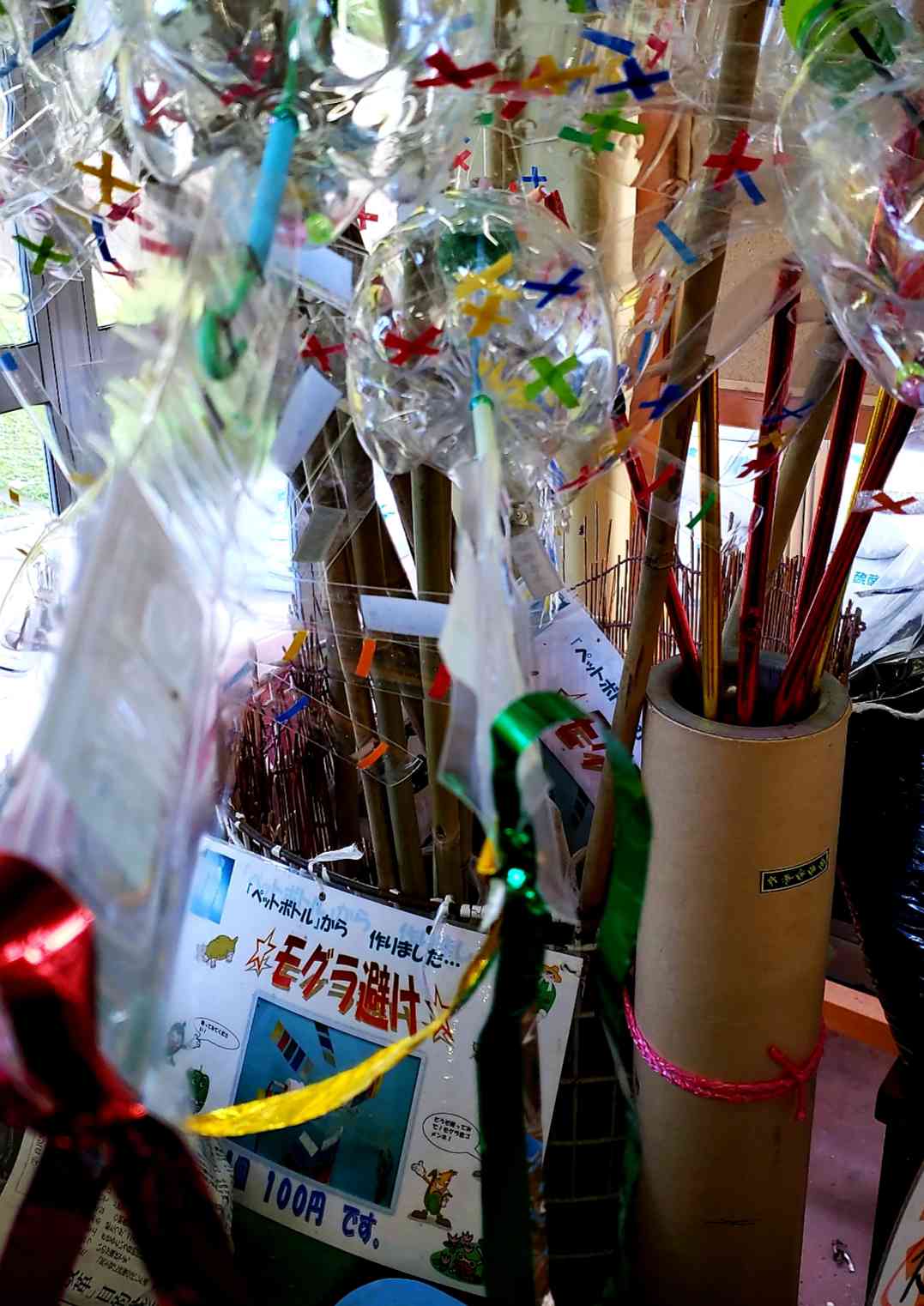 投稿された画像