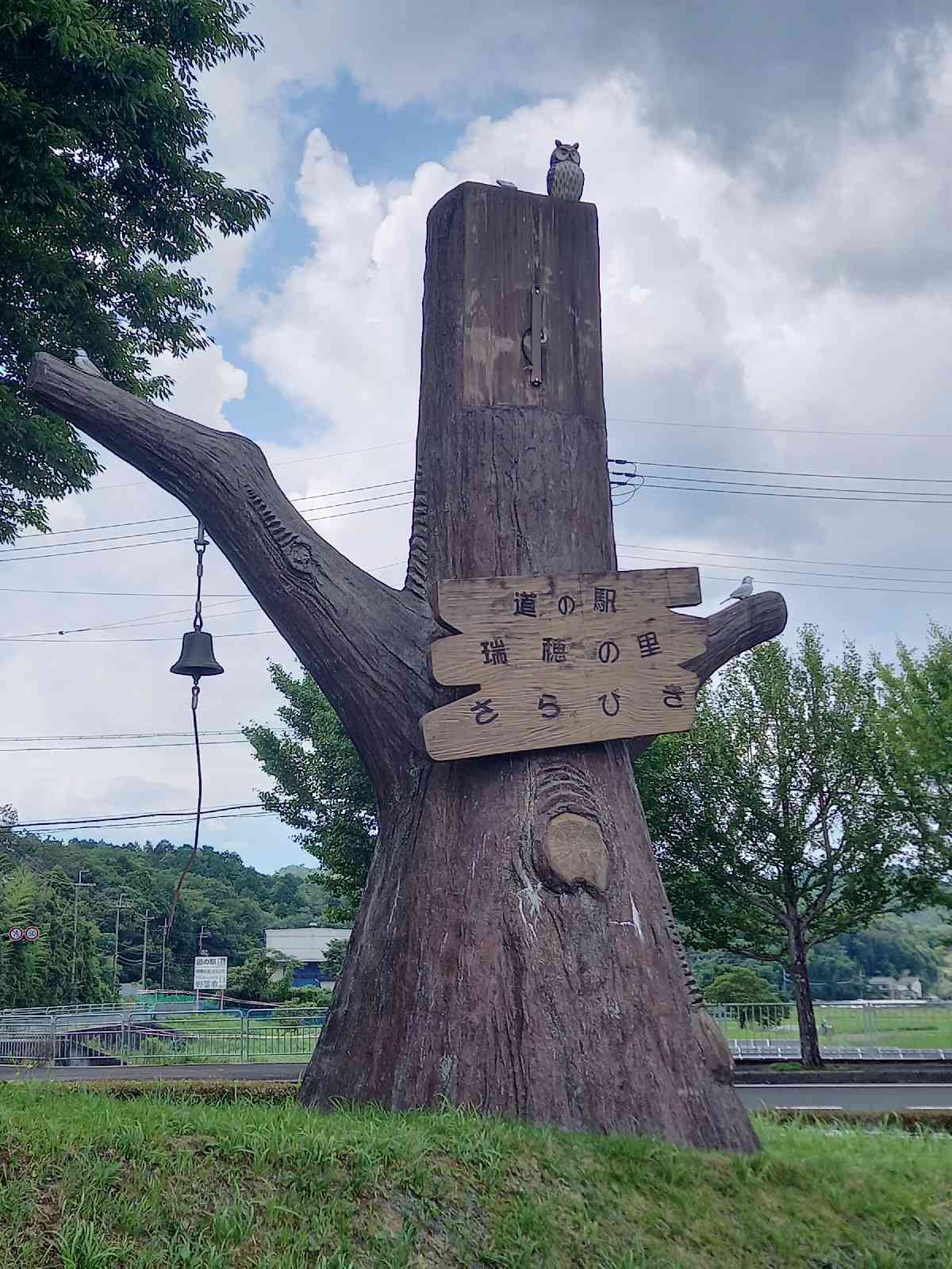 投稿された画像