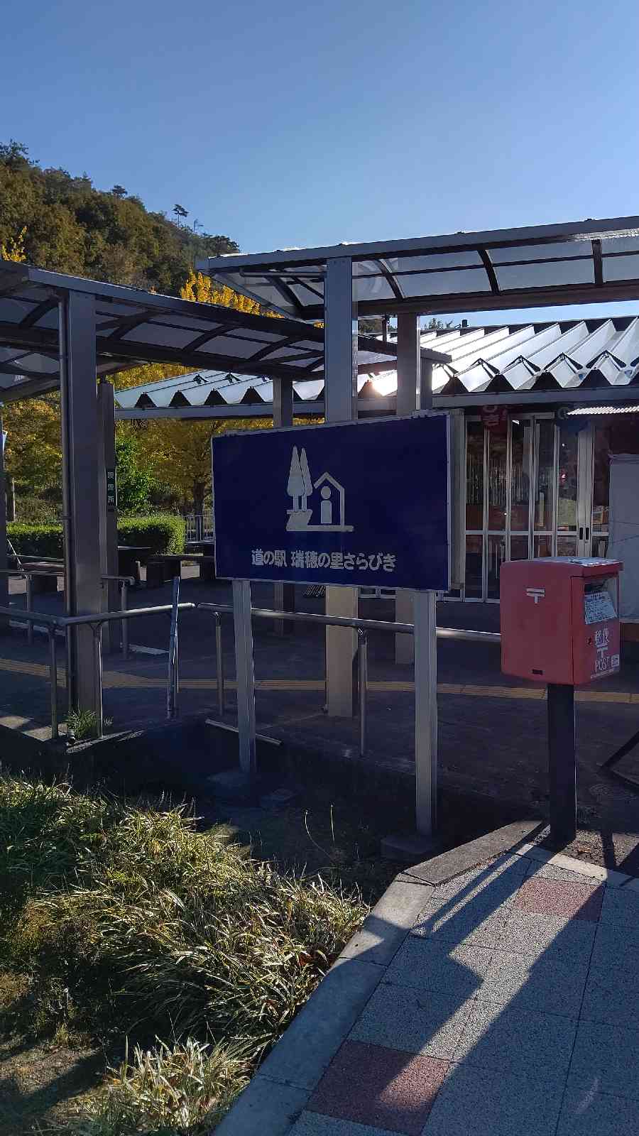 投稿された画像