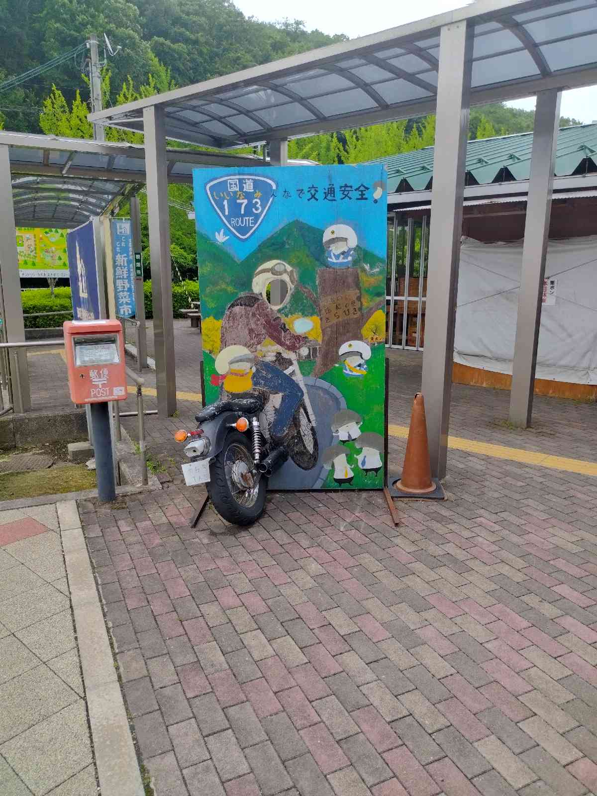 投稿された画像