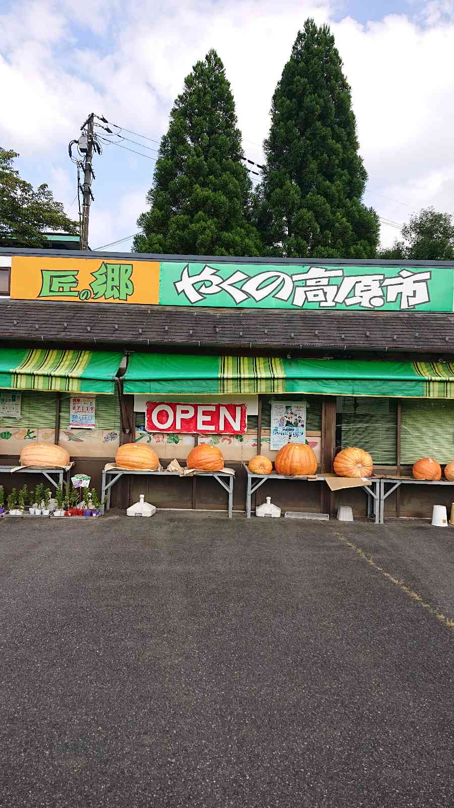 投稿された画像
