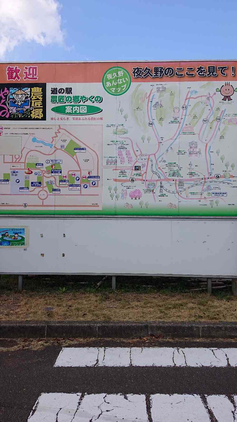 投稿された画像