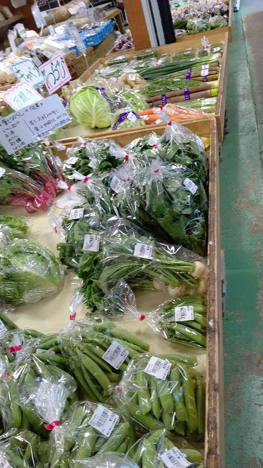 投稿された画像