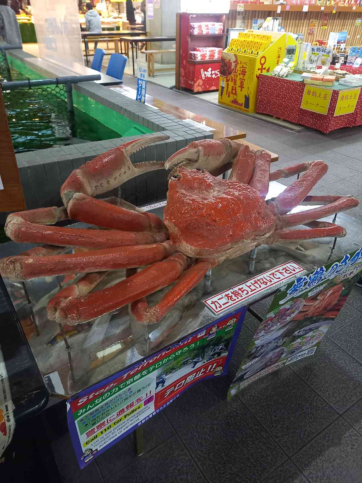 投稿された画像