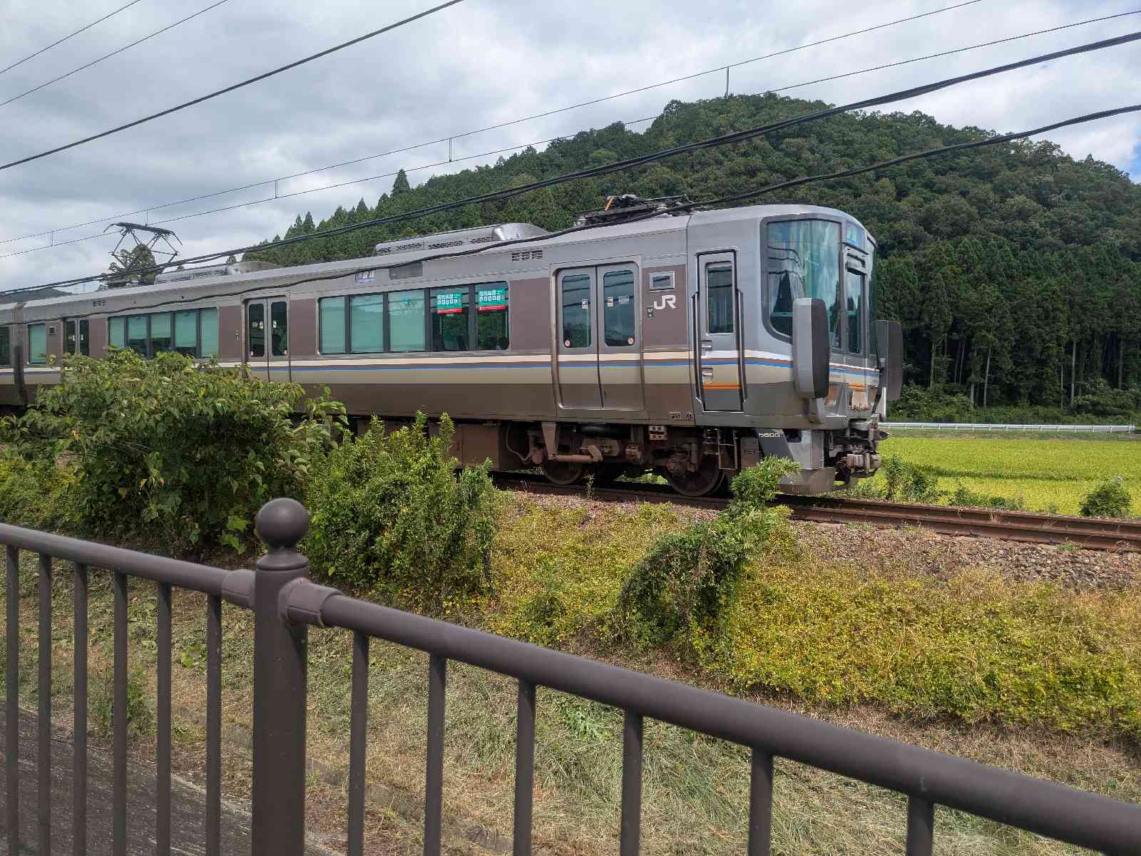 道の駅 京都新光悦村の写真