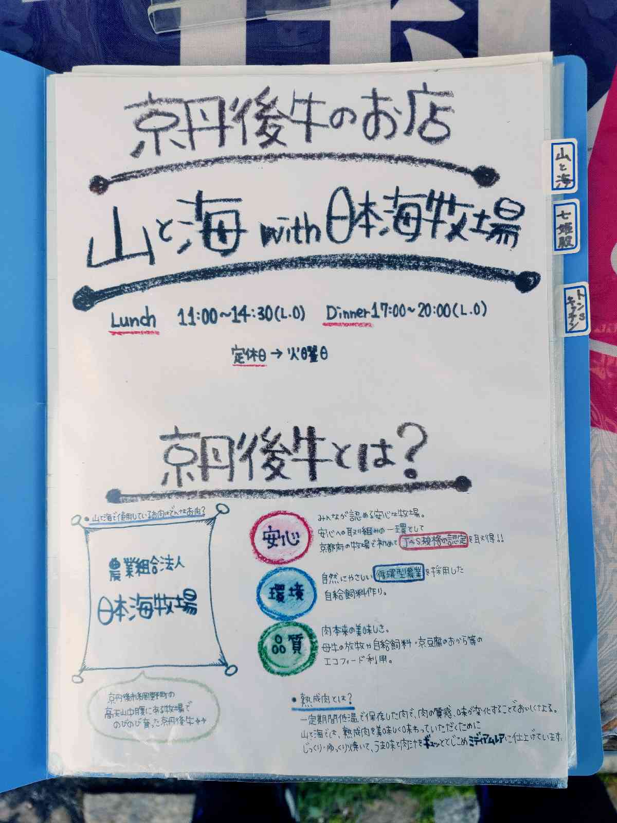 投稿された画像