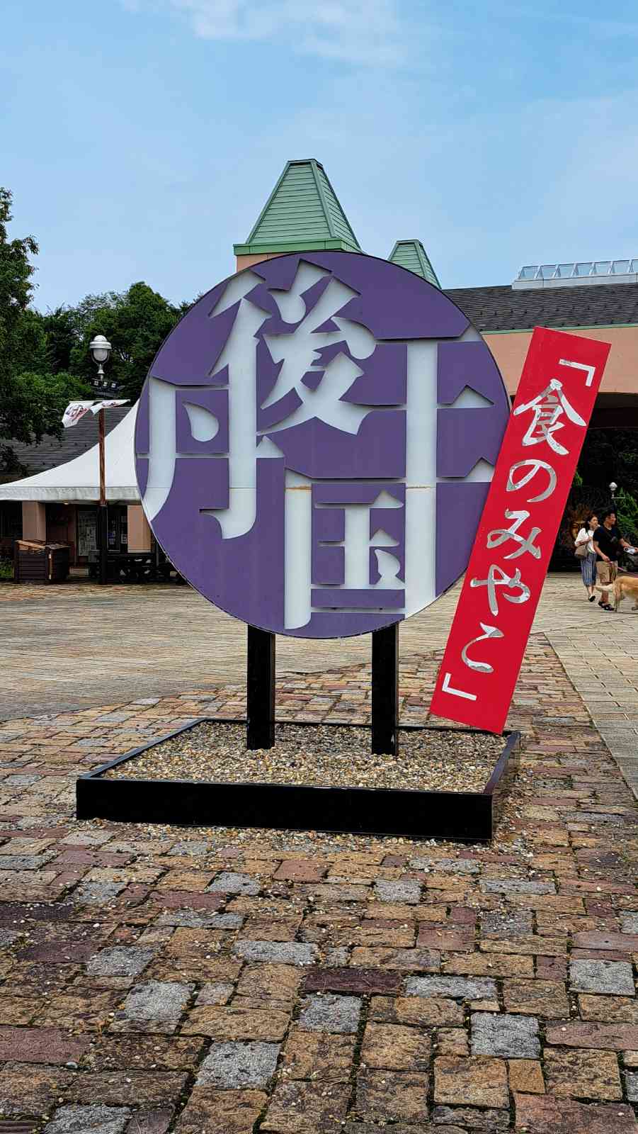 投稿された画像