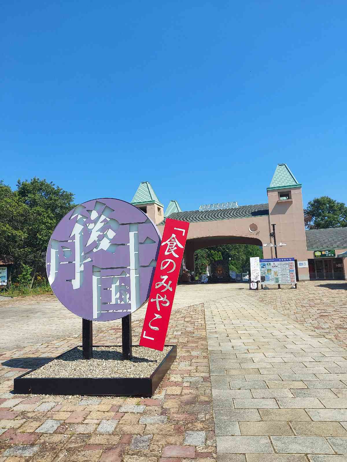 投稿された画像