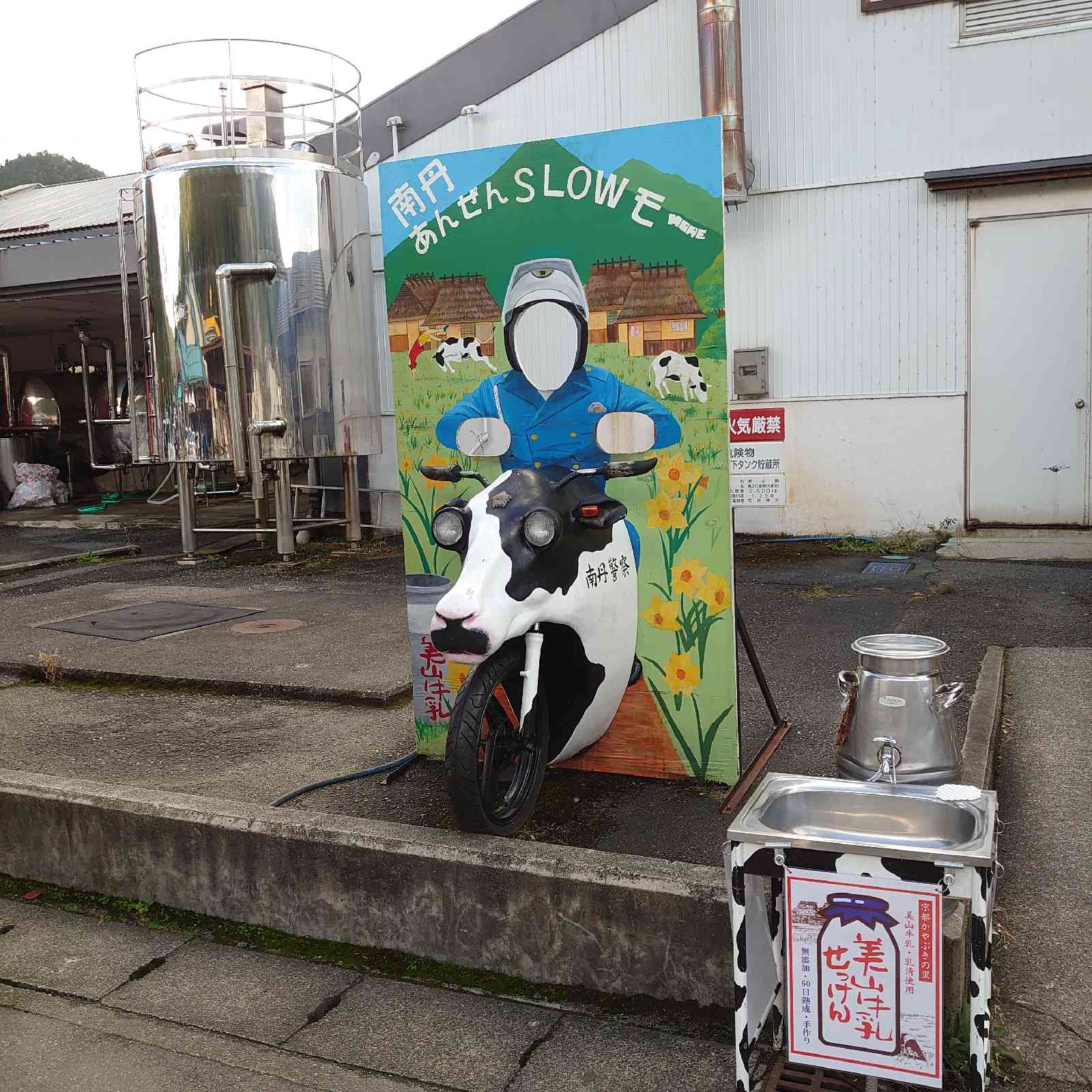 投稿された画像