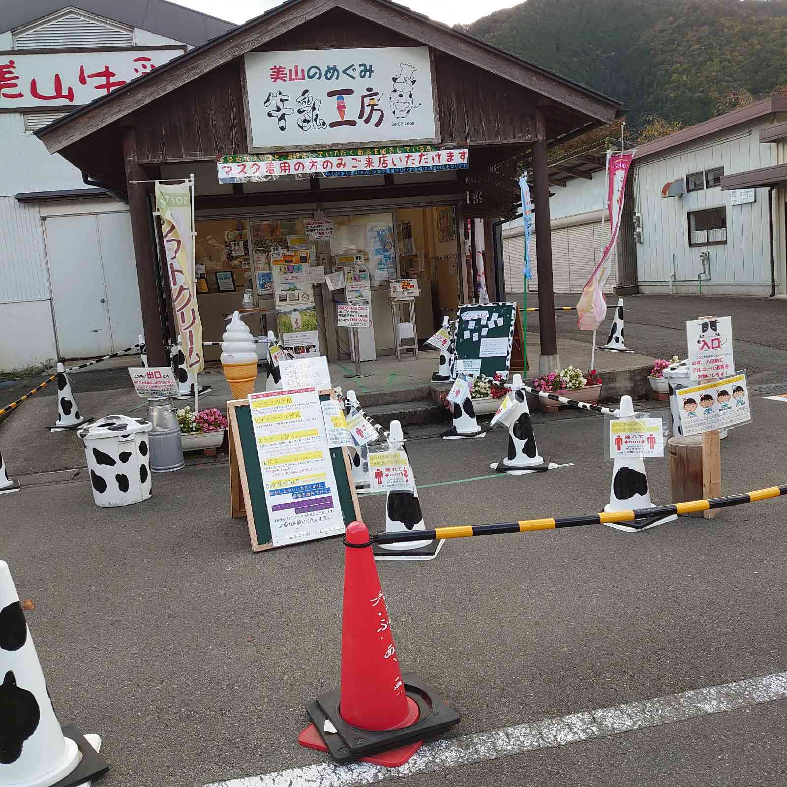 投稿された画像