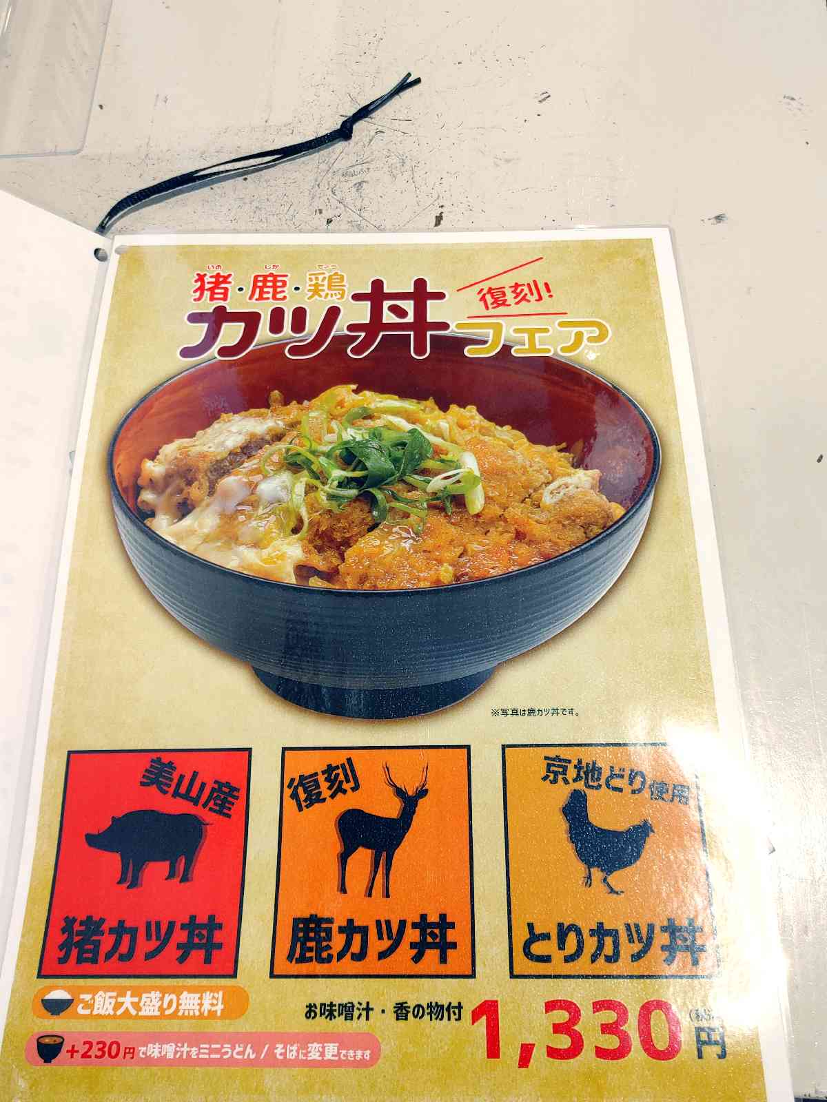 投稿された画像