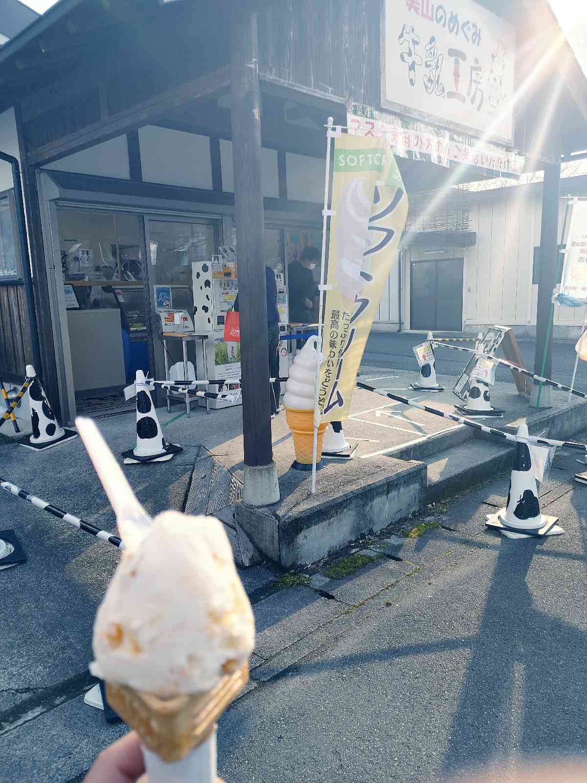 投稿された画像
