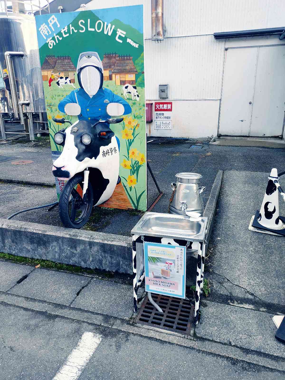 投稿された画像