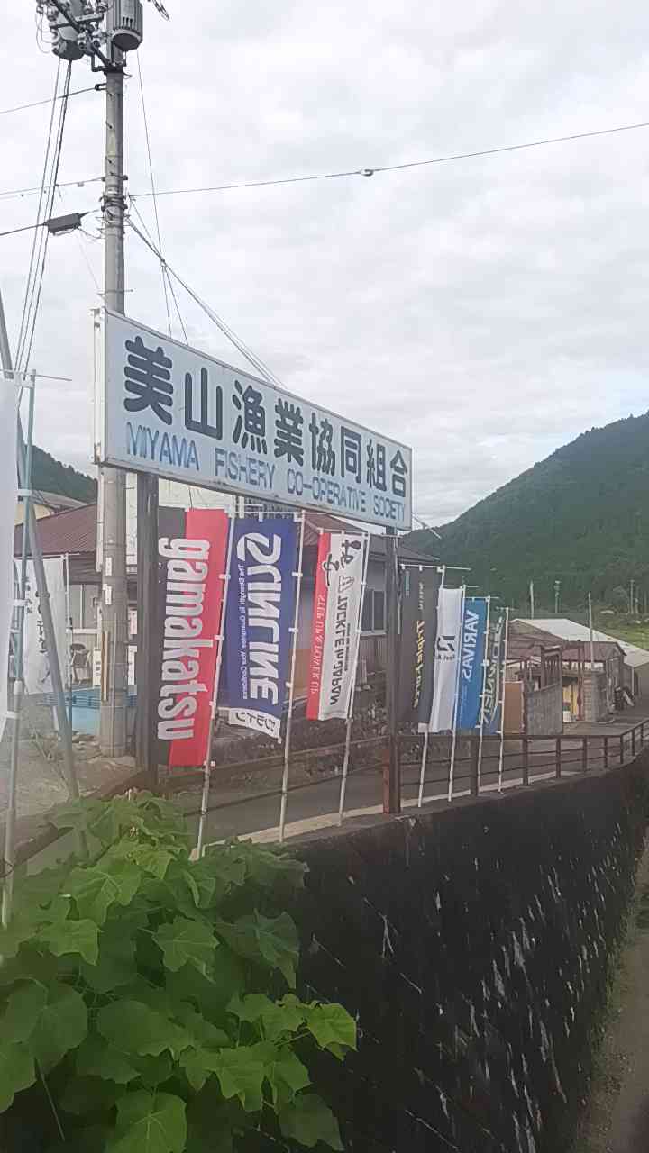 道の駅 美山ふれあい広場の写真