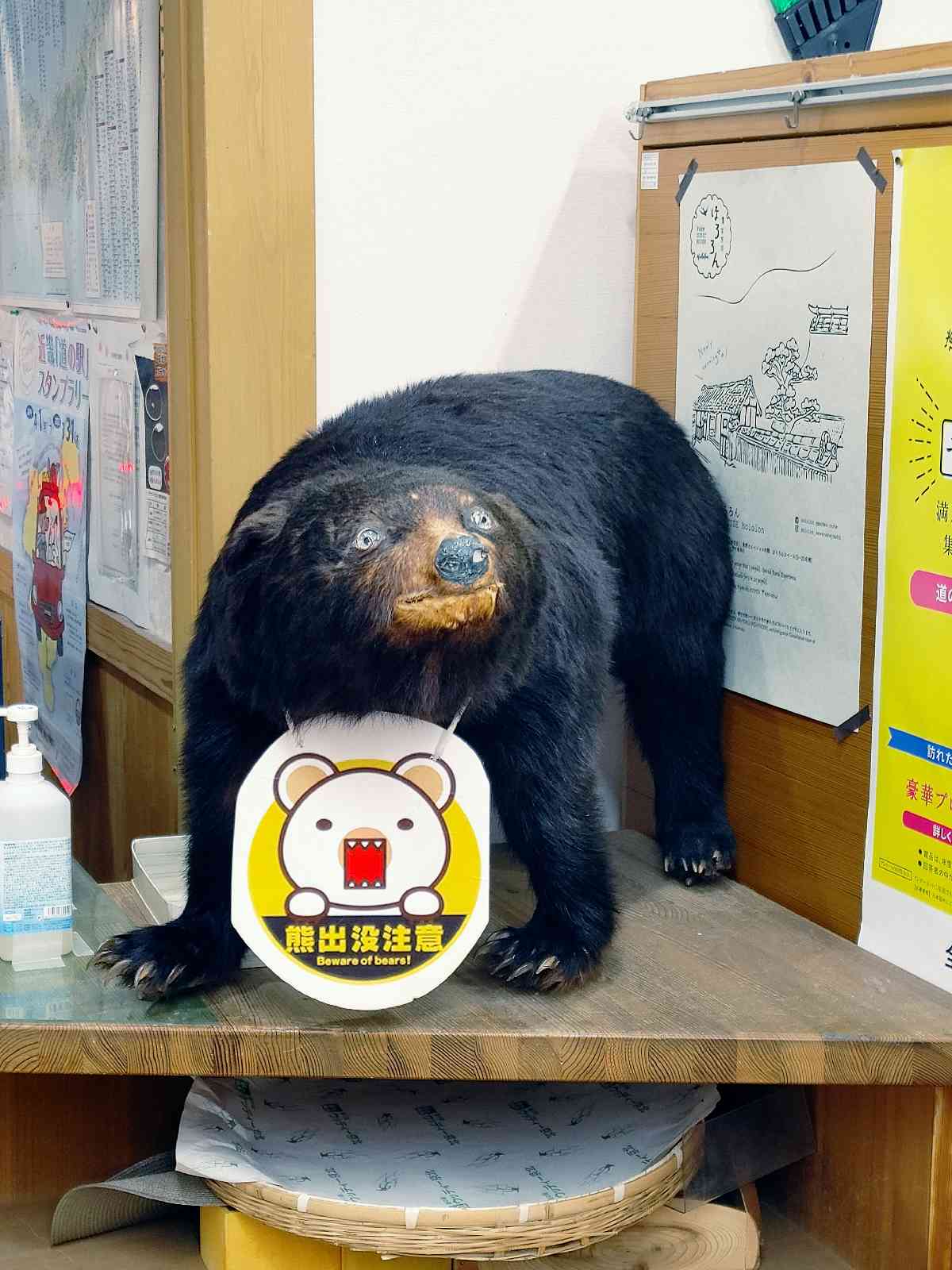 投稿された画像