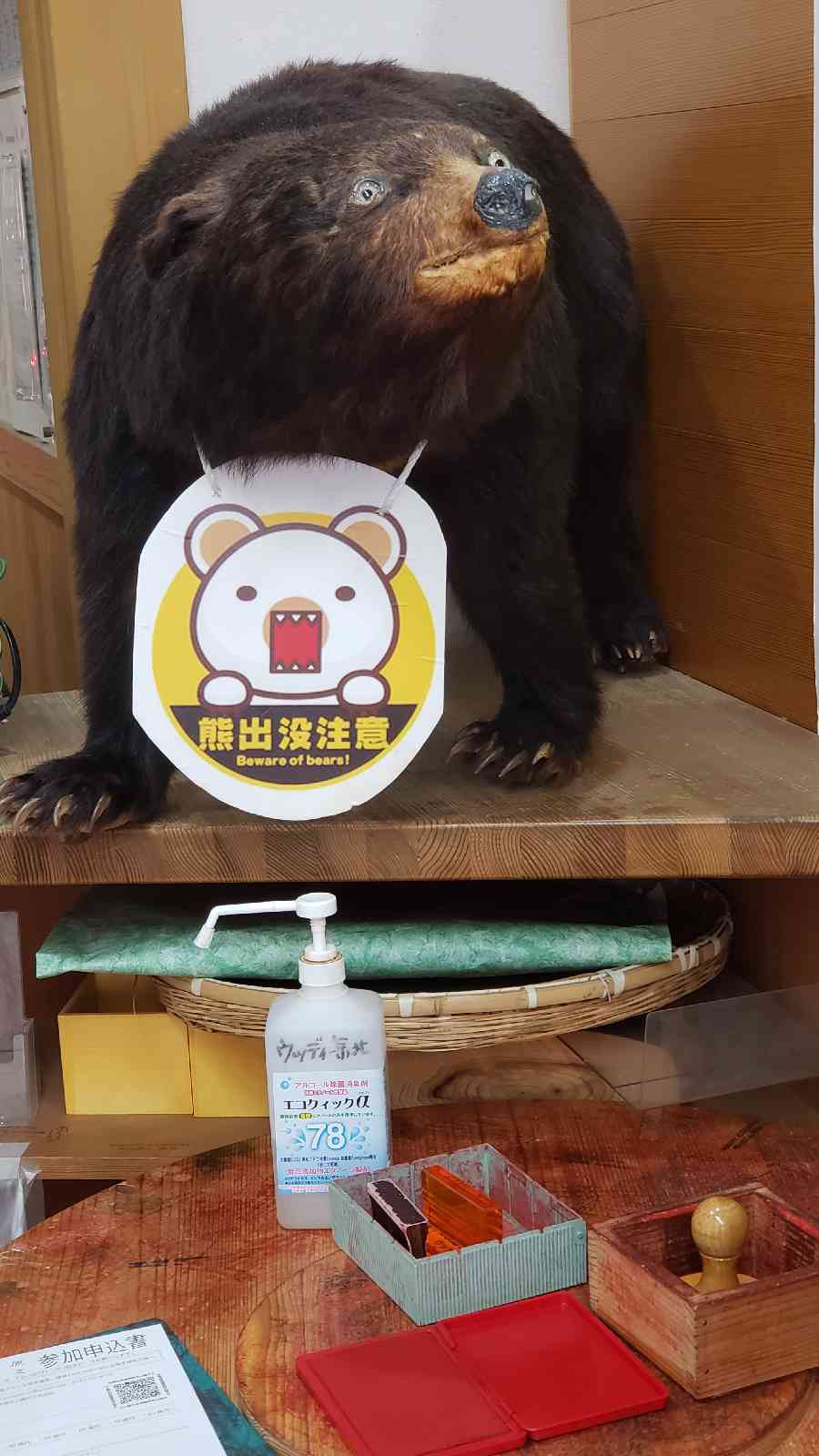 投稿された画像