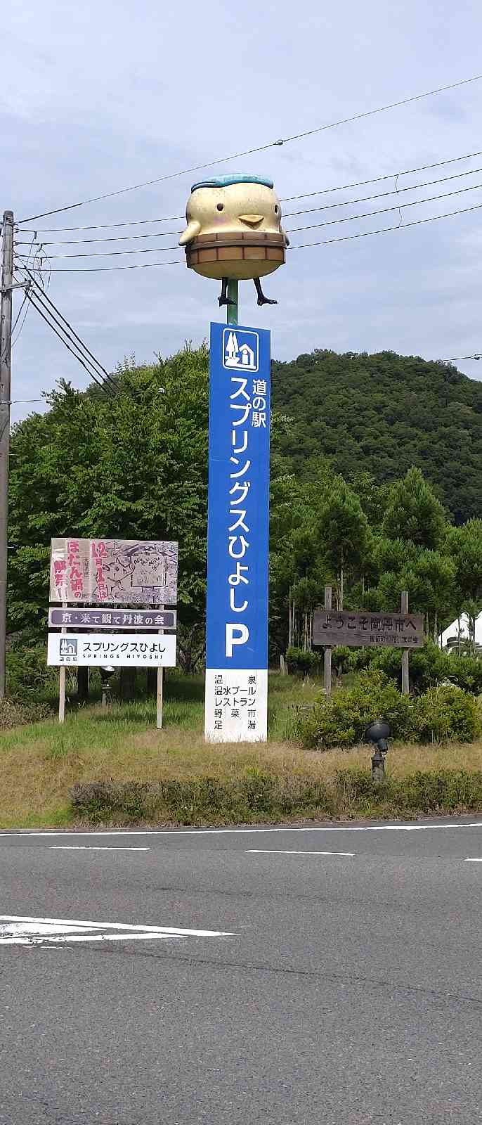 道の駅 スプリングスひよしの写真