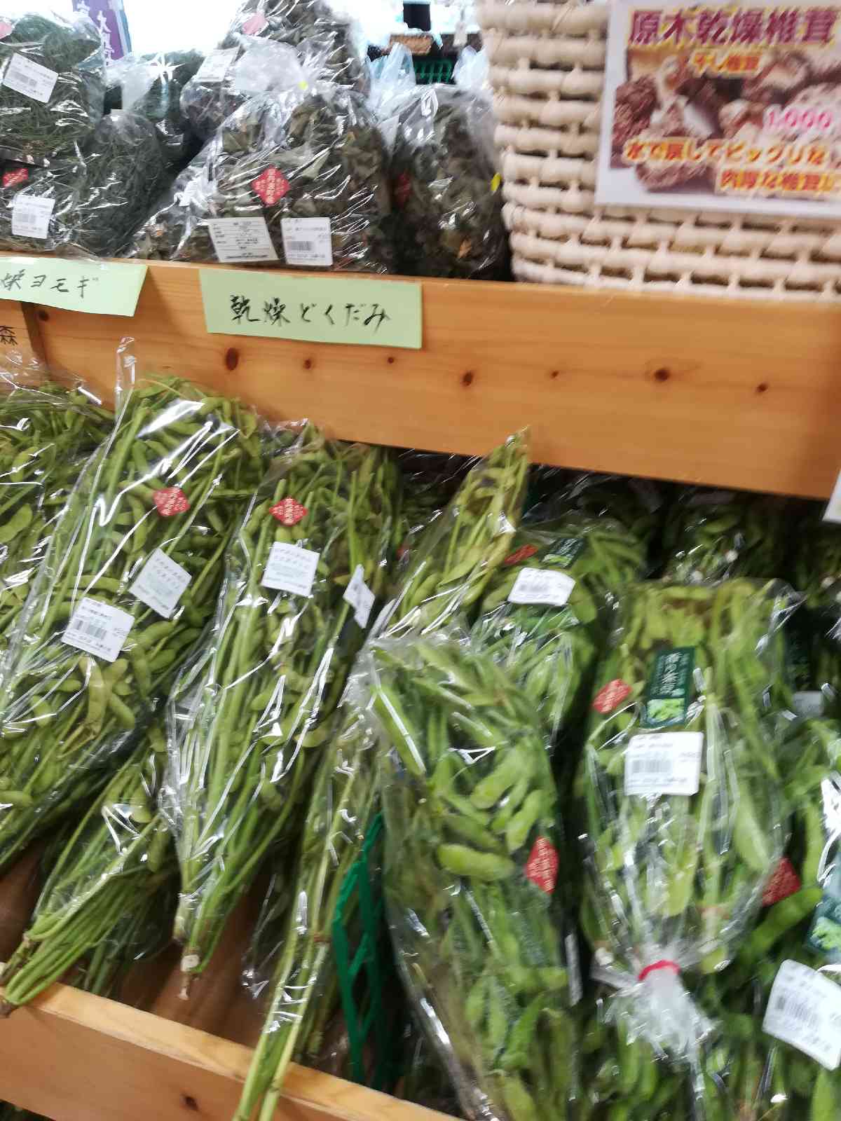 投稿された画像