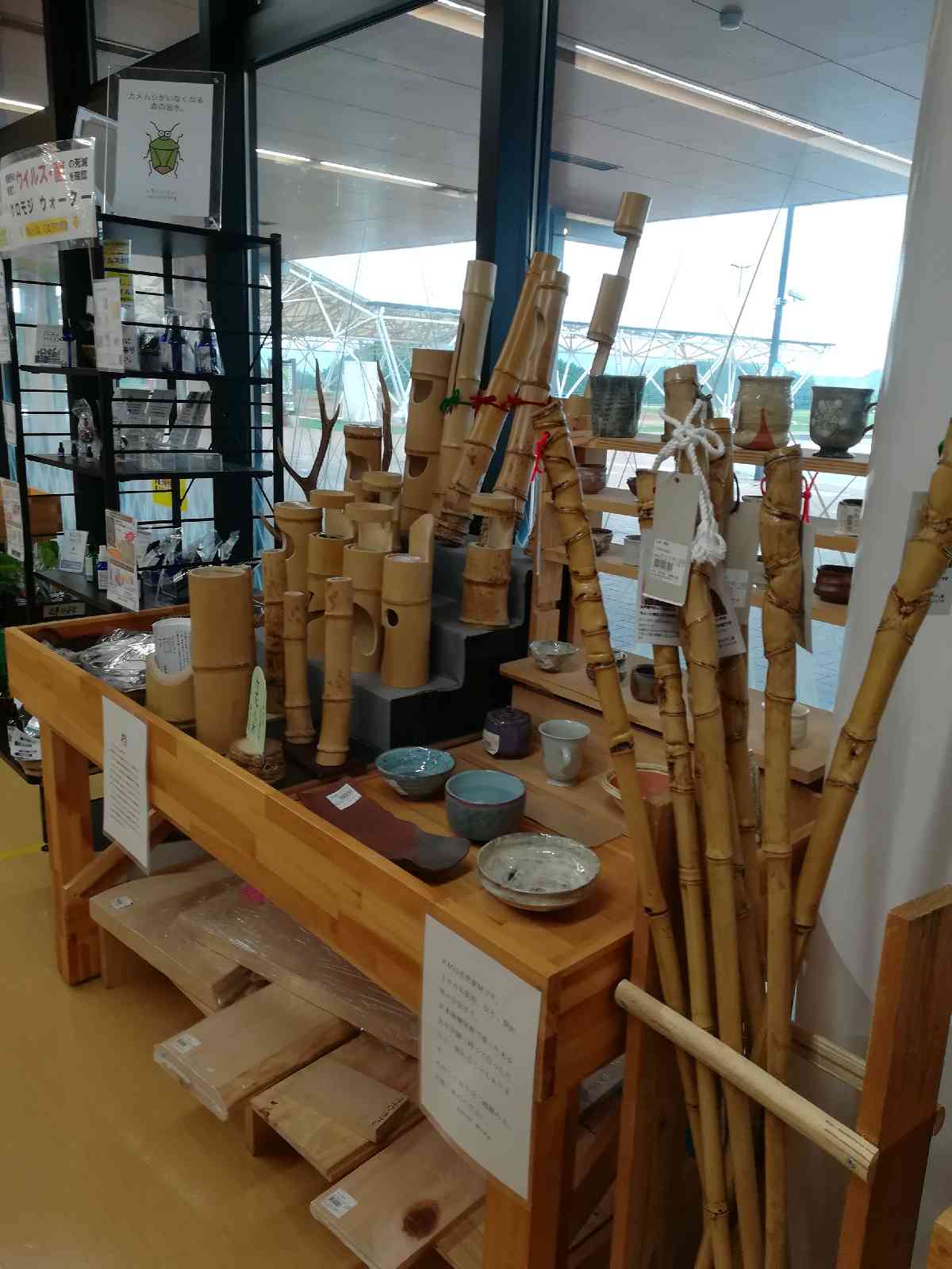 投稿された画像