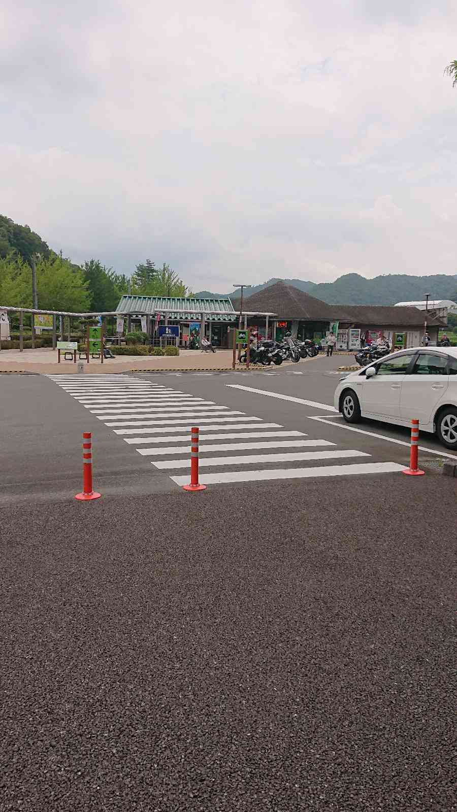 投稿された画像