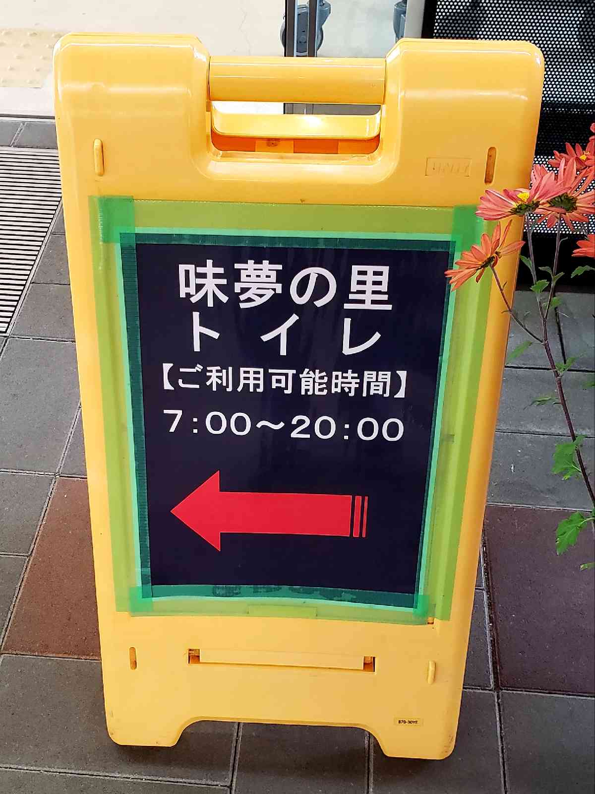 投稿された画像