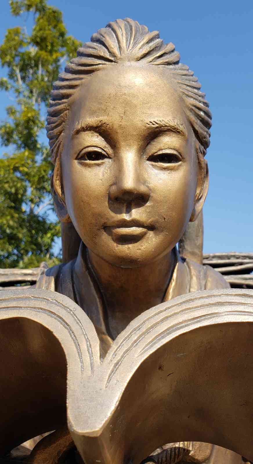 投稿された画像