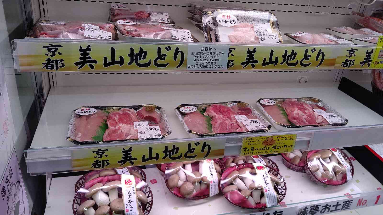 投稿された画像