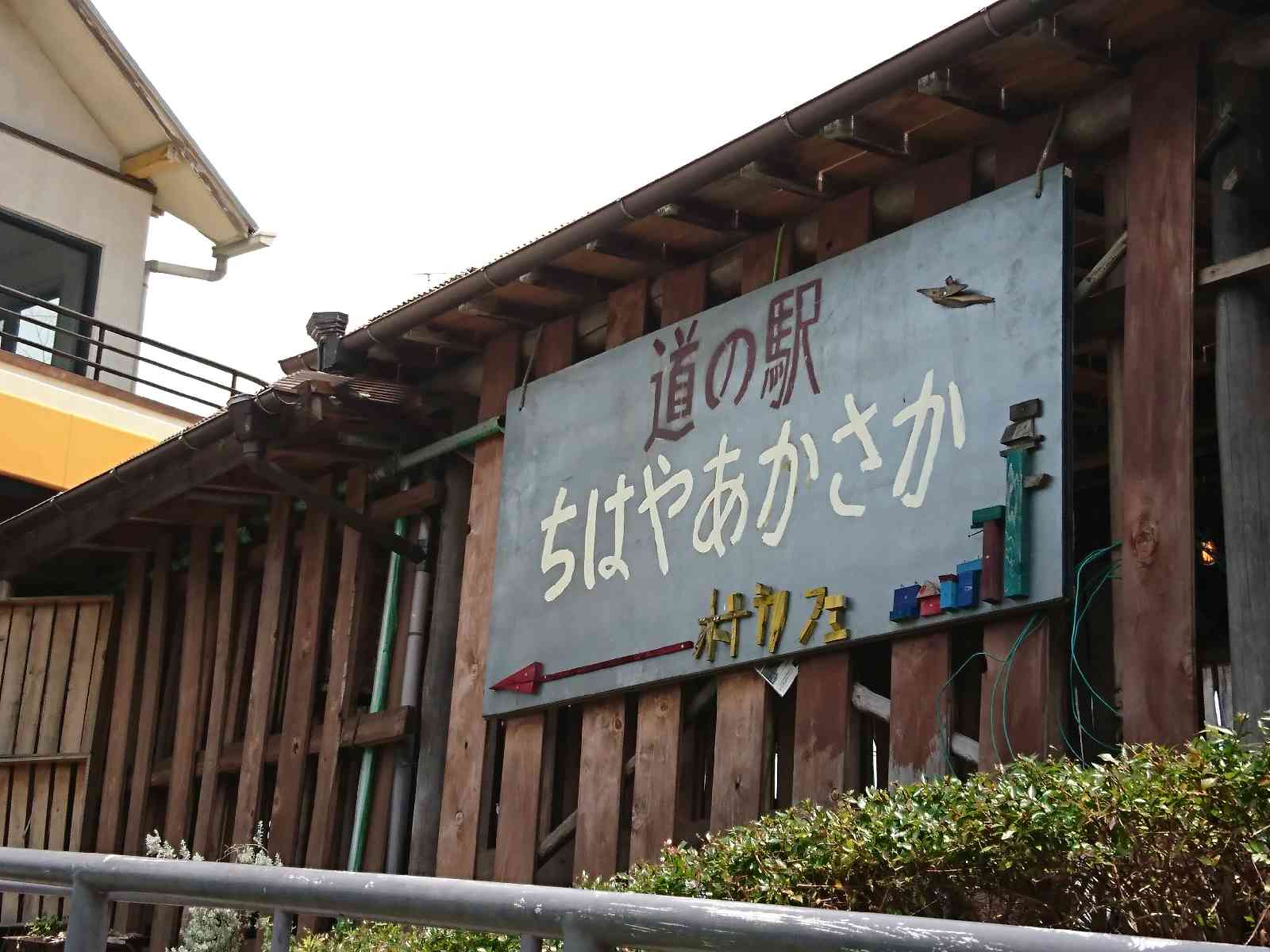 投稿された画像