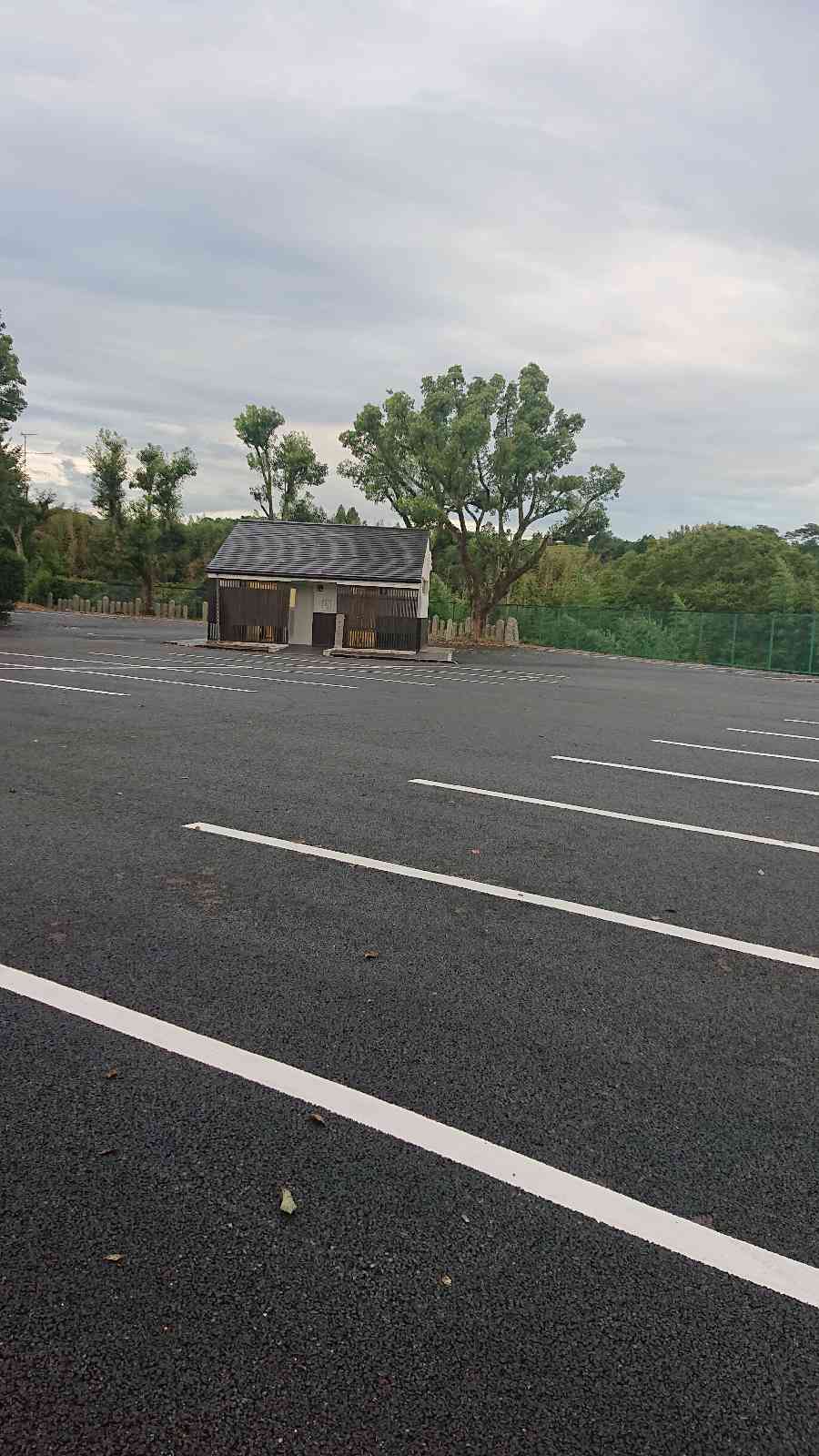 投稿された画像