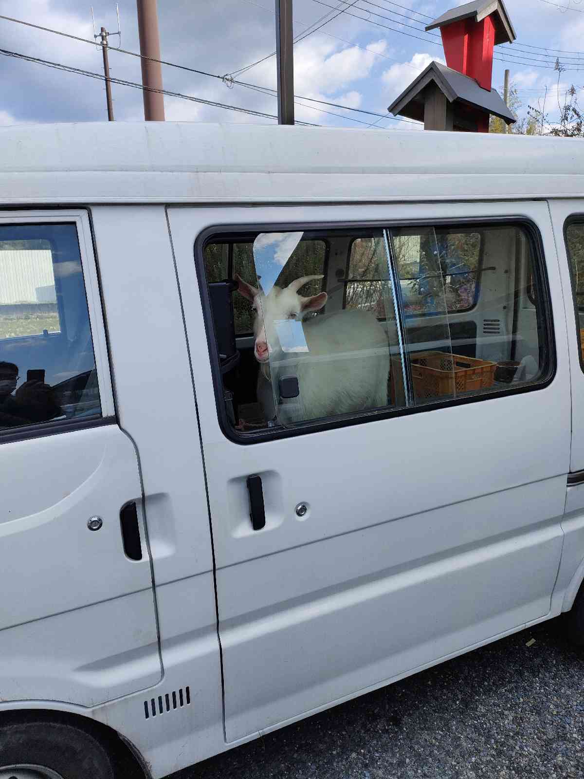 投稿された画像