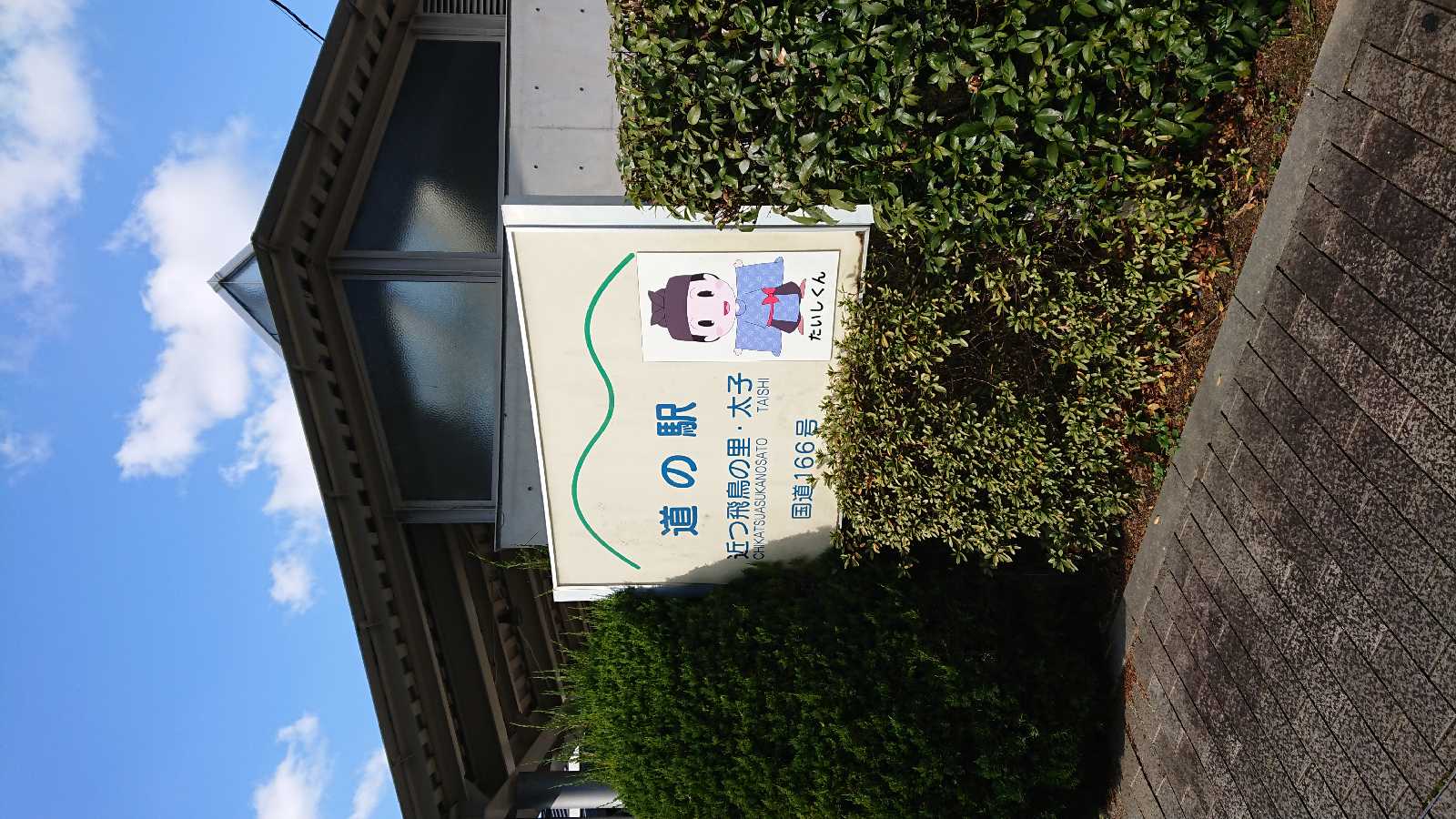 投稿された画像