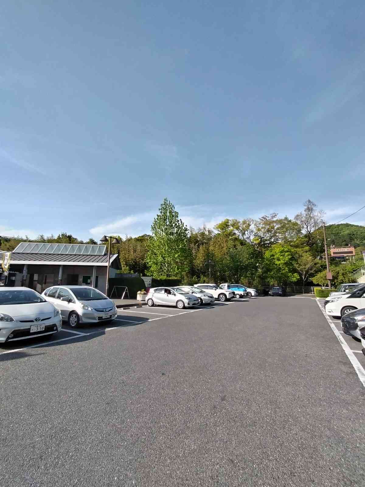 投稿された画像