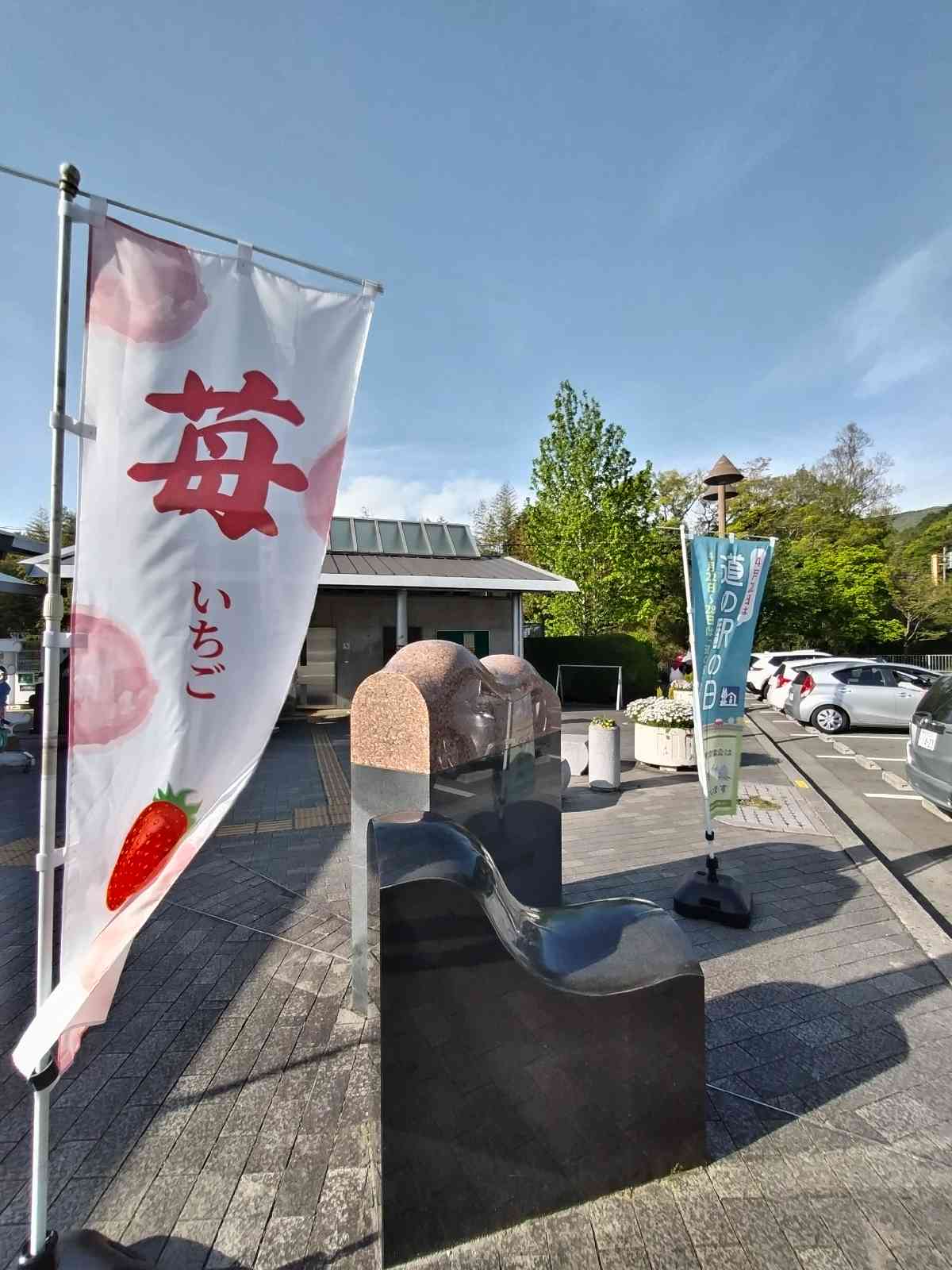 投稿された画像