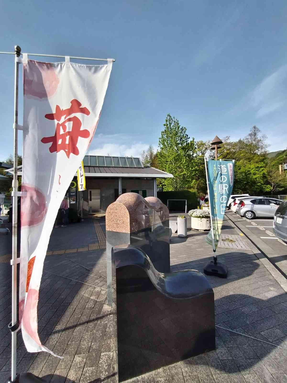 投稿された画像