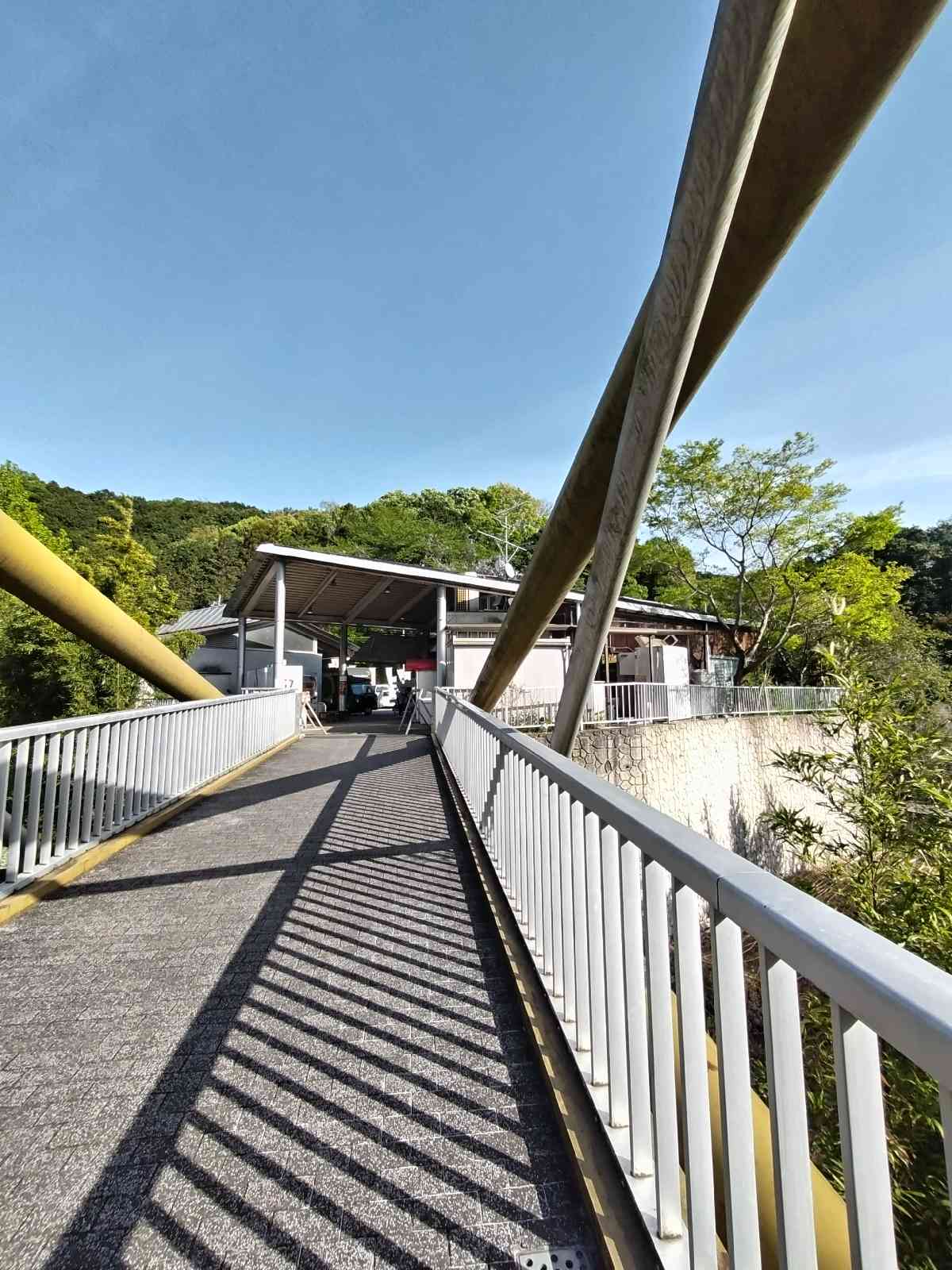 投稿された画像