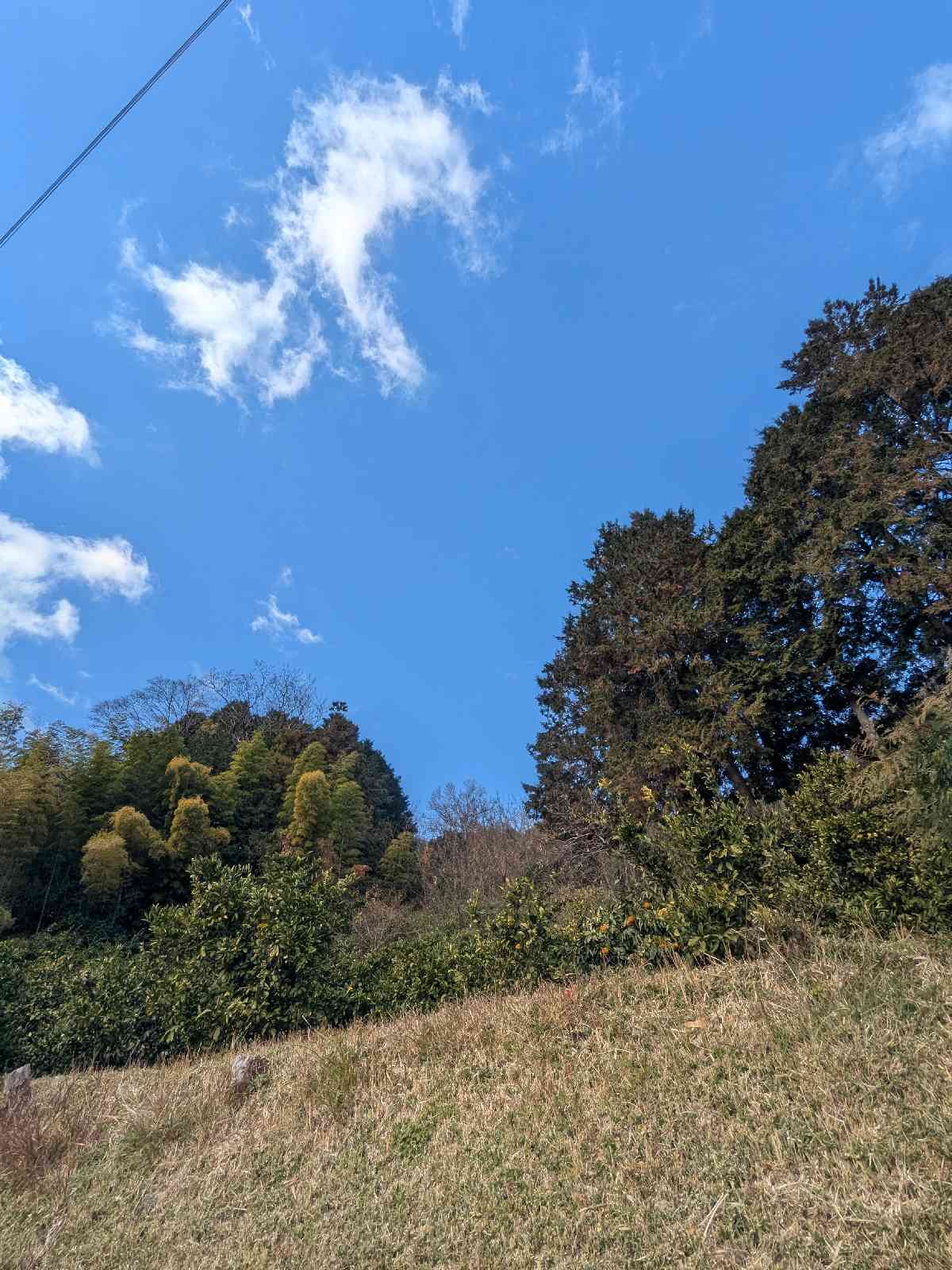 道の駅 近つ飛鳥の里太子の写真