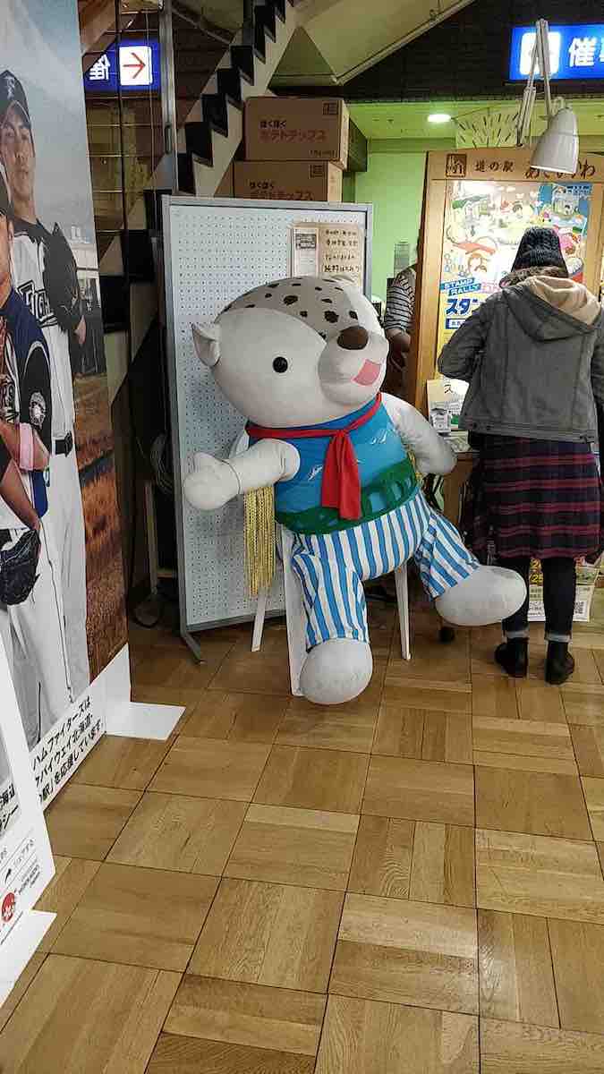 投稿された画像