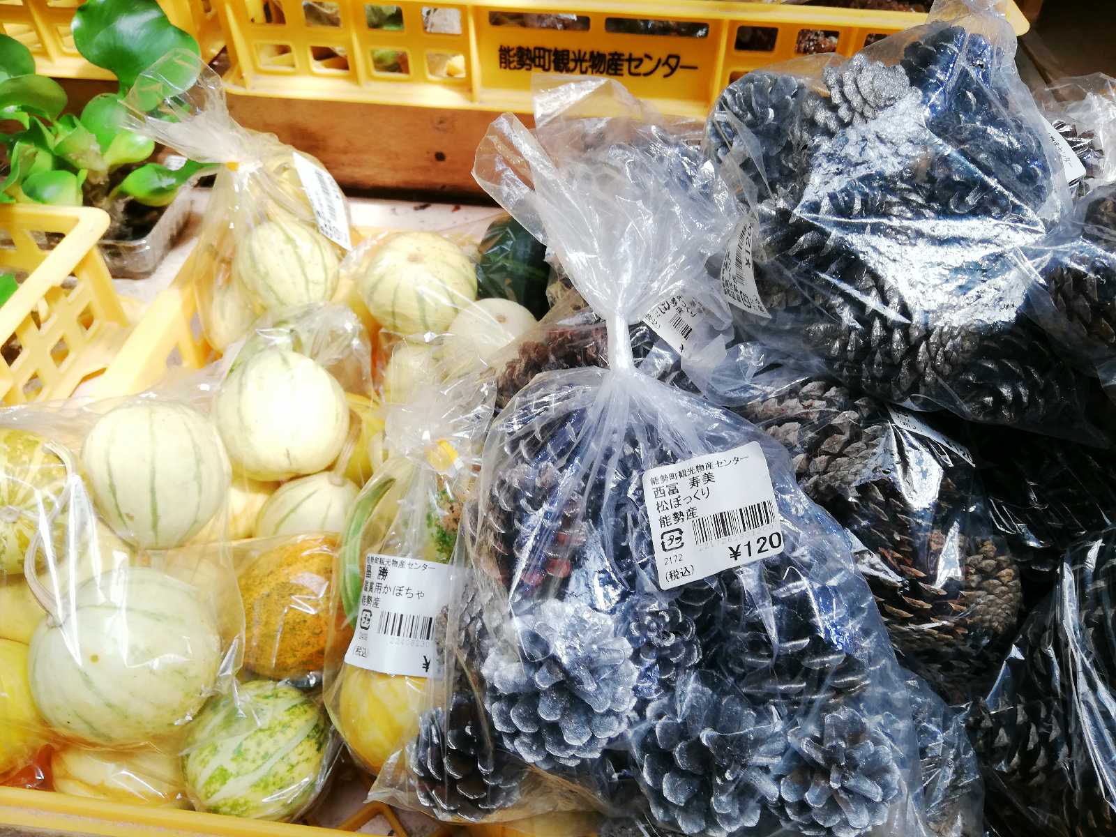 投稿された画像