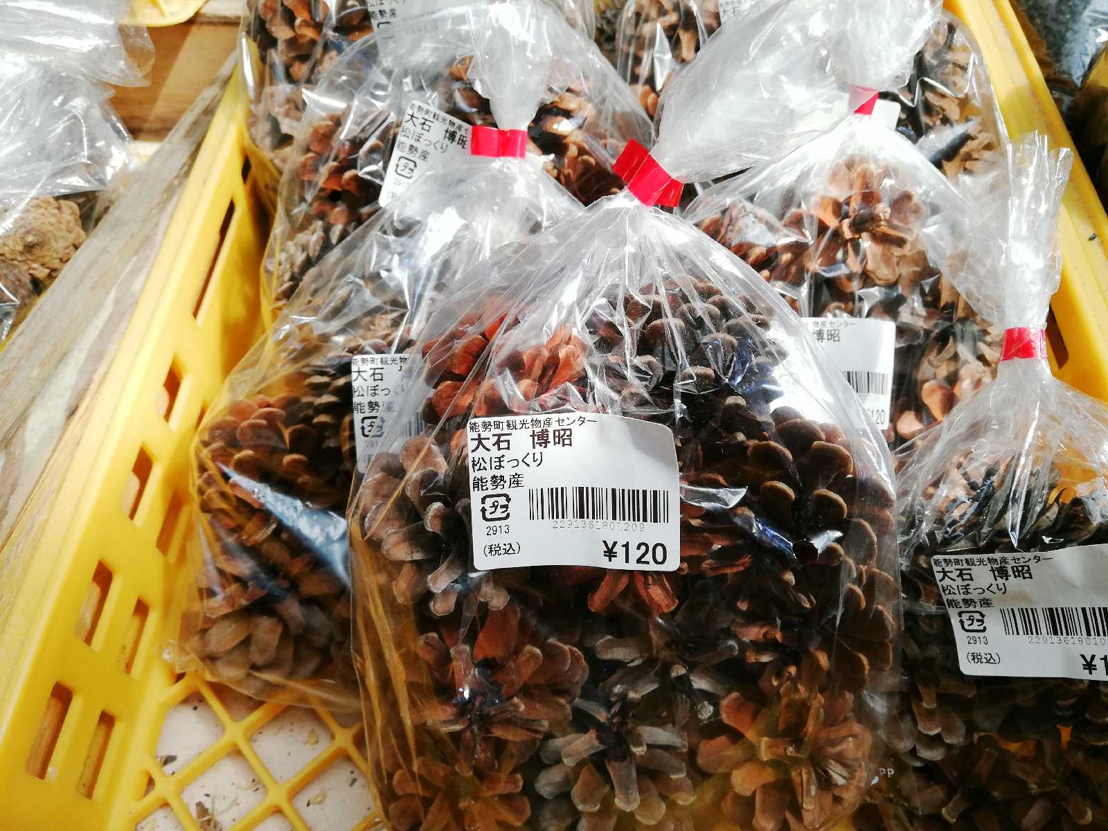 投稿された画像