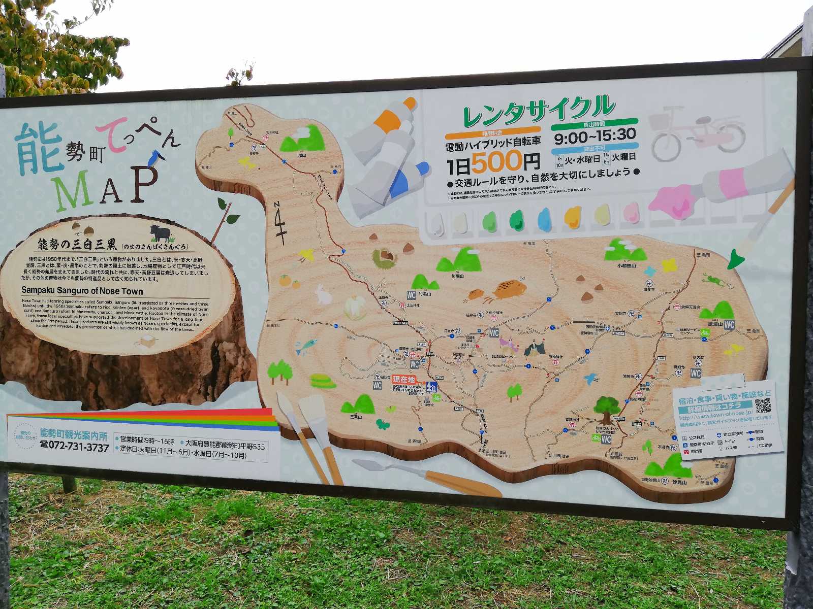 投稿された画像