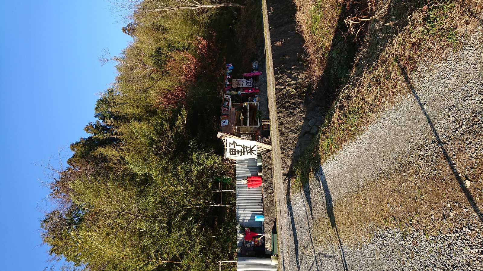 投稿された画像