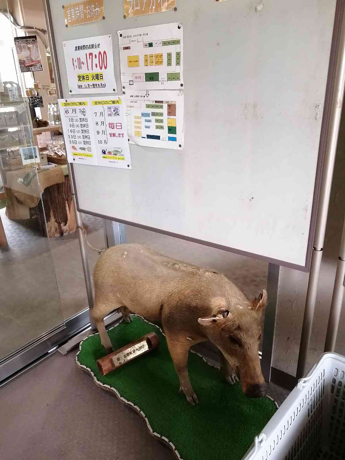 投稿された画像