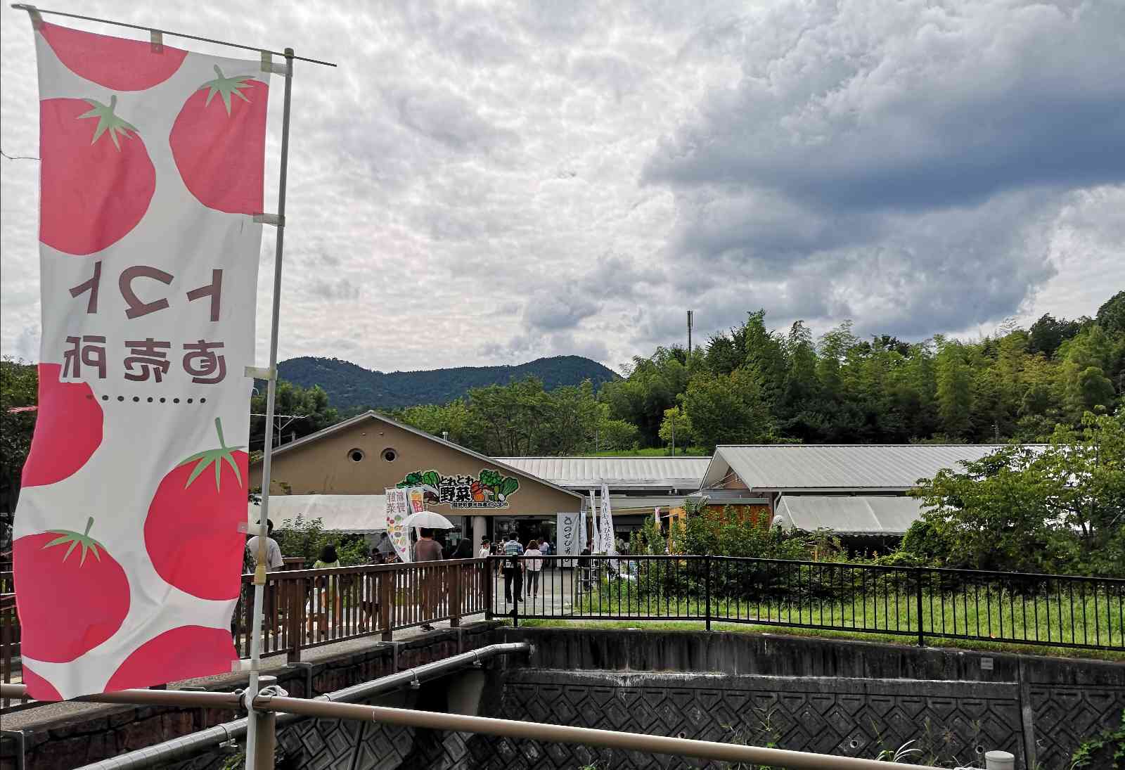 投稿された画像