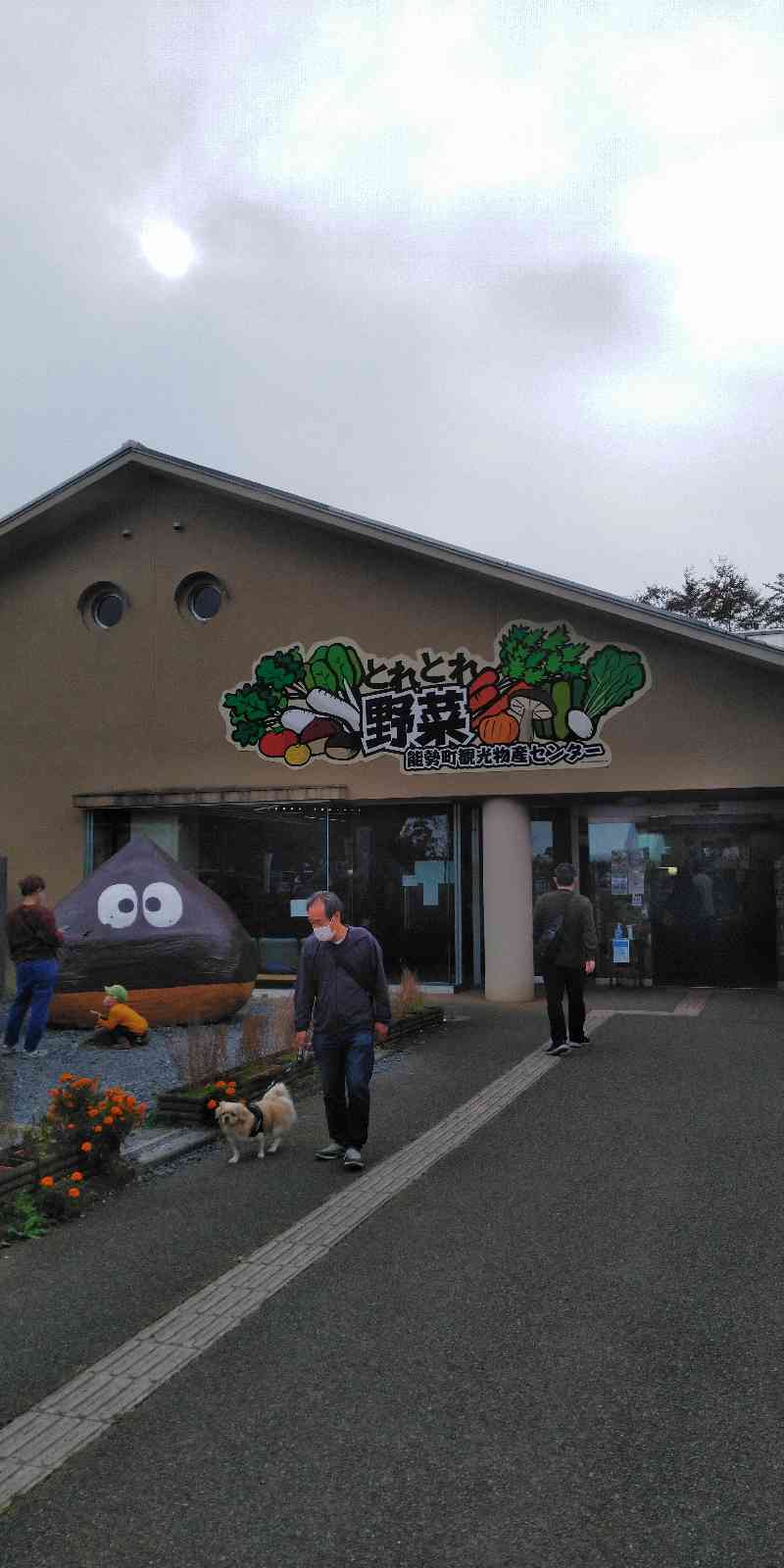 投稿された画像