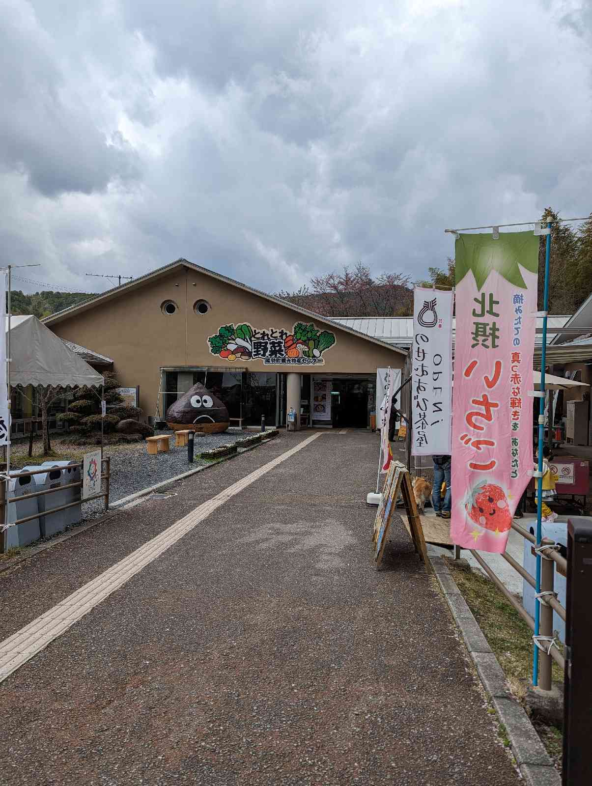 投稿された画像