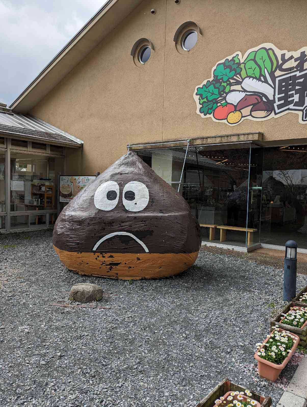 投稿された画像