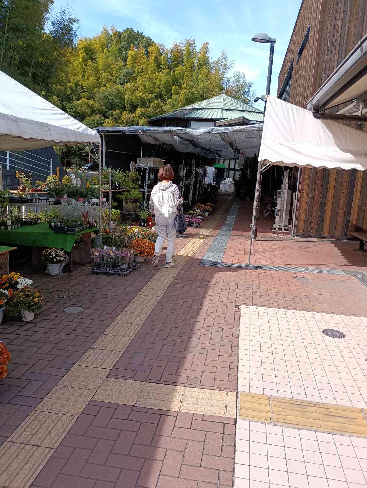 道の駅 かなんの写真