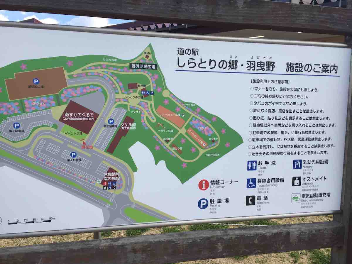 投稿された画像
