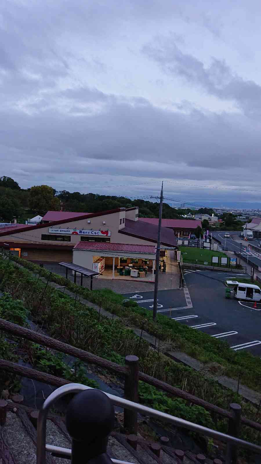 投稿された画像