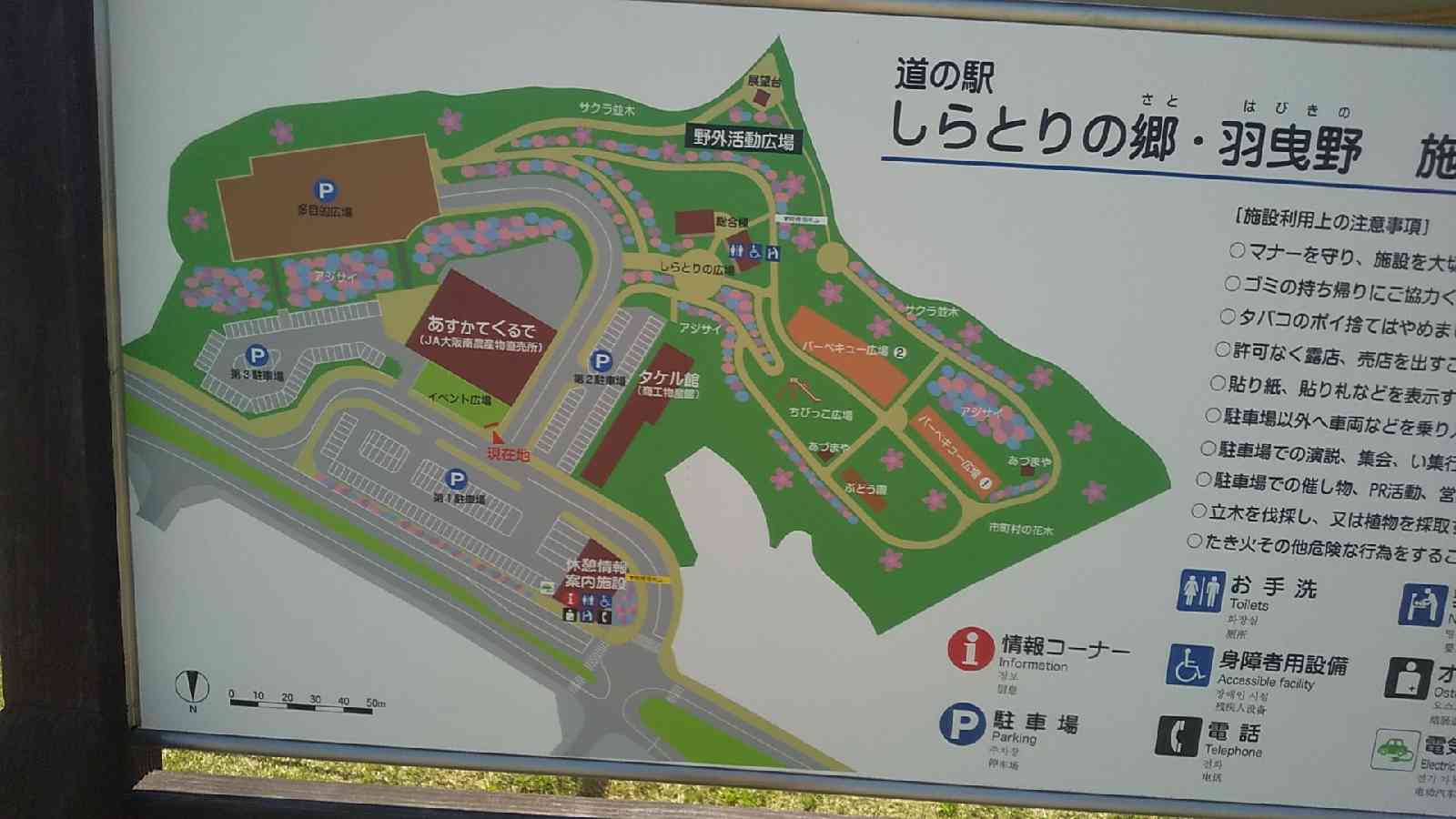 投稿された画像